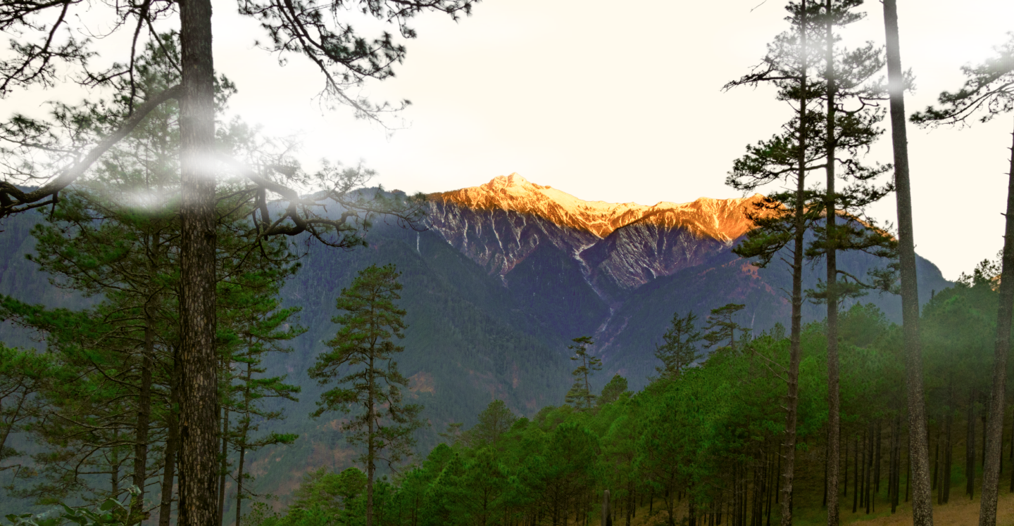 Arunachal Literature Festival Background