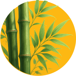 Bamboo illustration